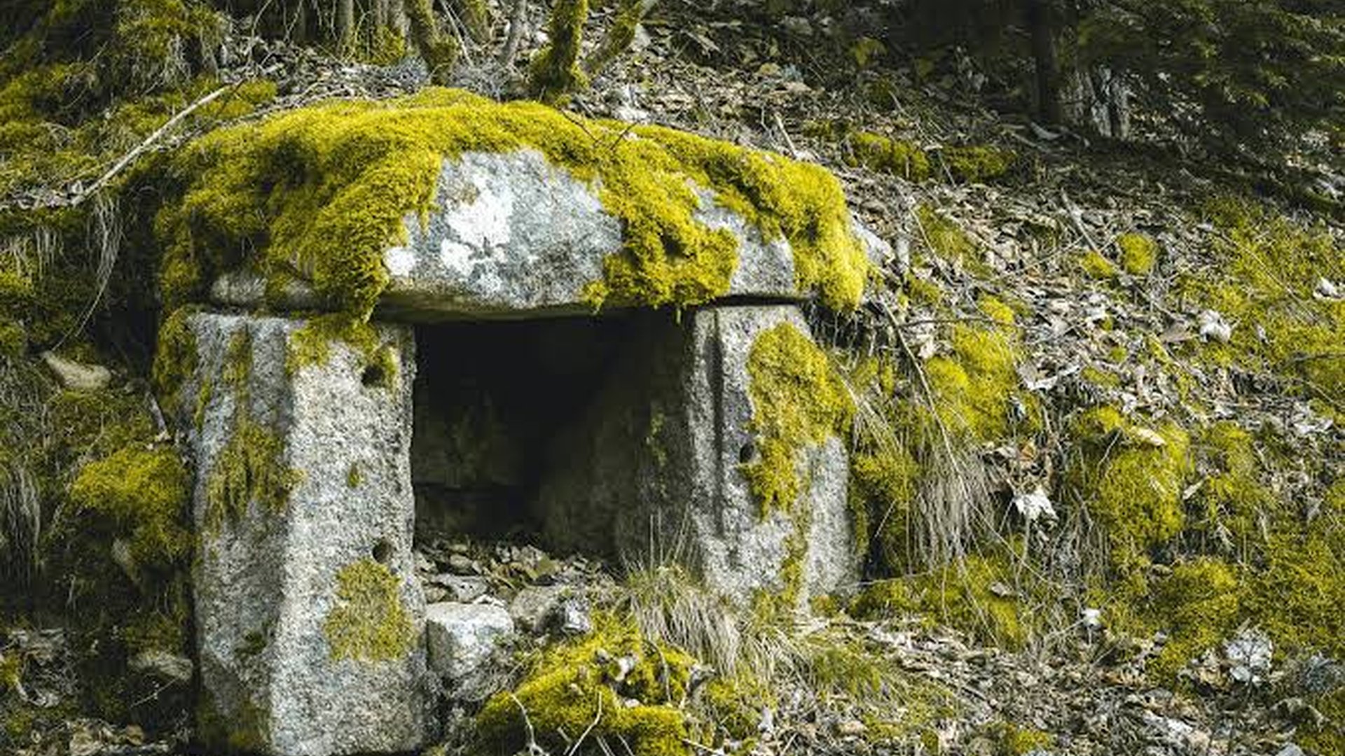 alpine trail stone markers moss-covered ancient pa