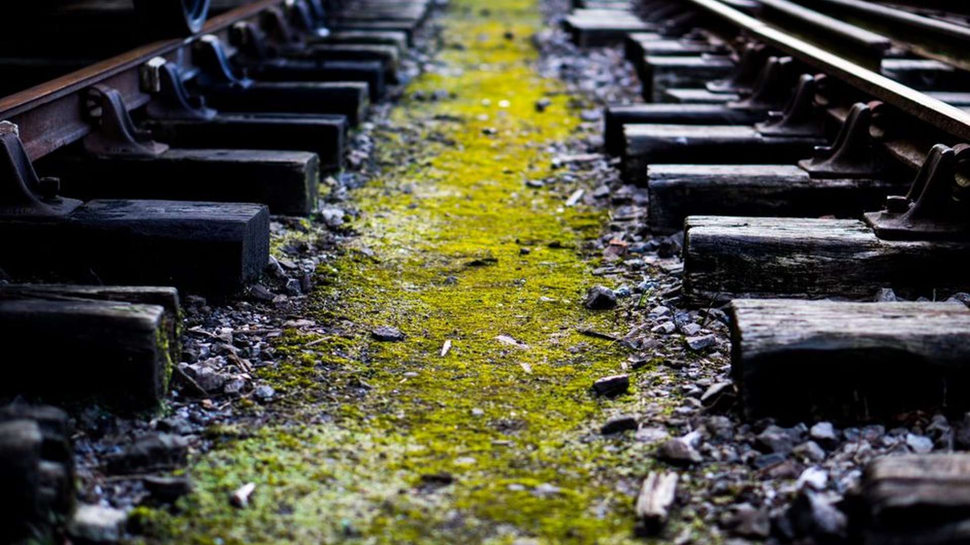 old train tracks cracked concrete turquoise gold